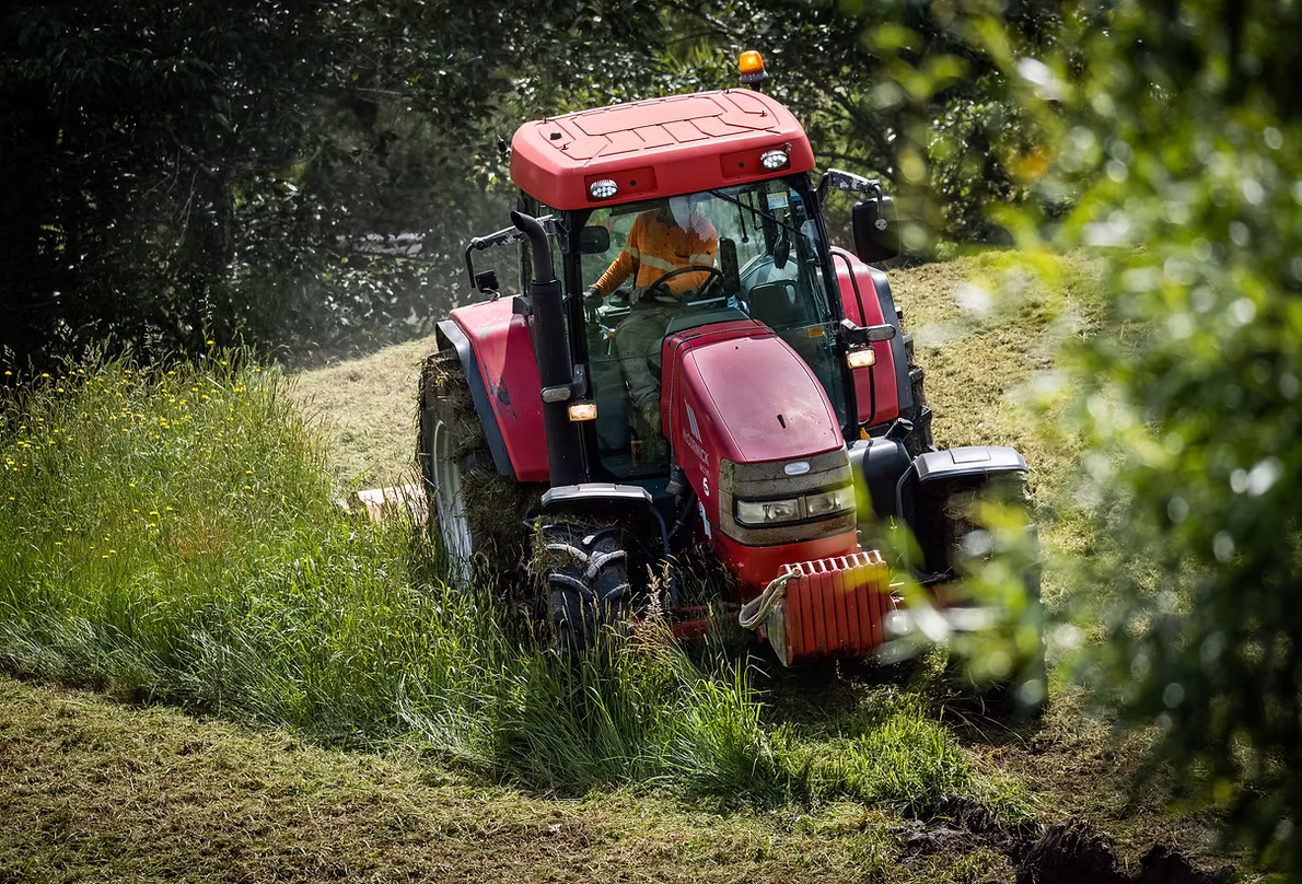 Land Clearing & Mulching